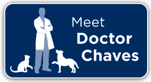 About Dr. Chaves at Covington Creek Vetrinary