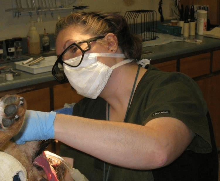 Dr. Colin Chaves of Covington Creek Veterinary Hospital
