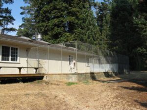 BOARDING-OUTDOOR-RUN-AREA Covington Creek Vet Dog Boarding Outdoor run