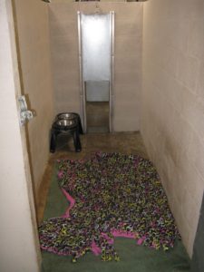 DOG-BOARDING-RUN Covington Creek Vet Dog Boarding Run